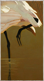 Spoonbills by Judith Vivell